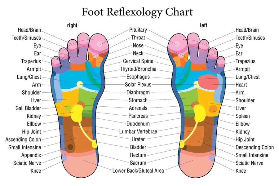 Foot Reflexology