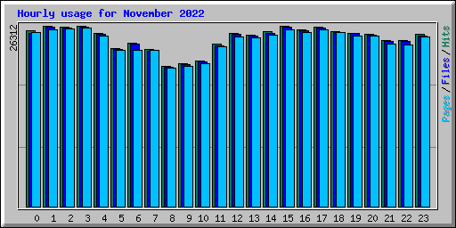 Hourly usage for November 2022